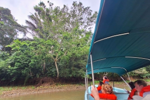 From Panama City: Panama Canal and Monkey Island Tour