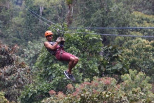 Desde Panamá: Experiencia de tirolina en Gamboa