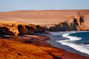 From Paracas: Ballestas Islands & Paracas National Reserve
