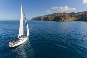 From Puerto de Mogán: Sailboat Trip with Food and Drinks