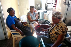 From Puerto Plata: Dominican Cocoa, Coffee, & Culture Tour