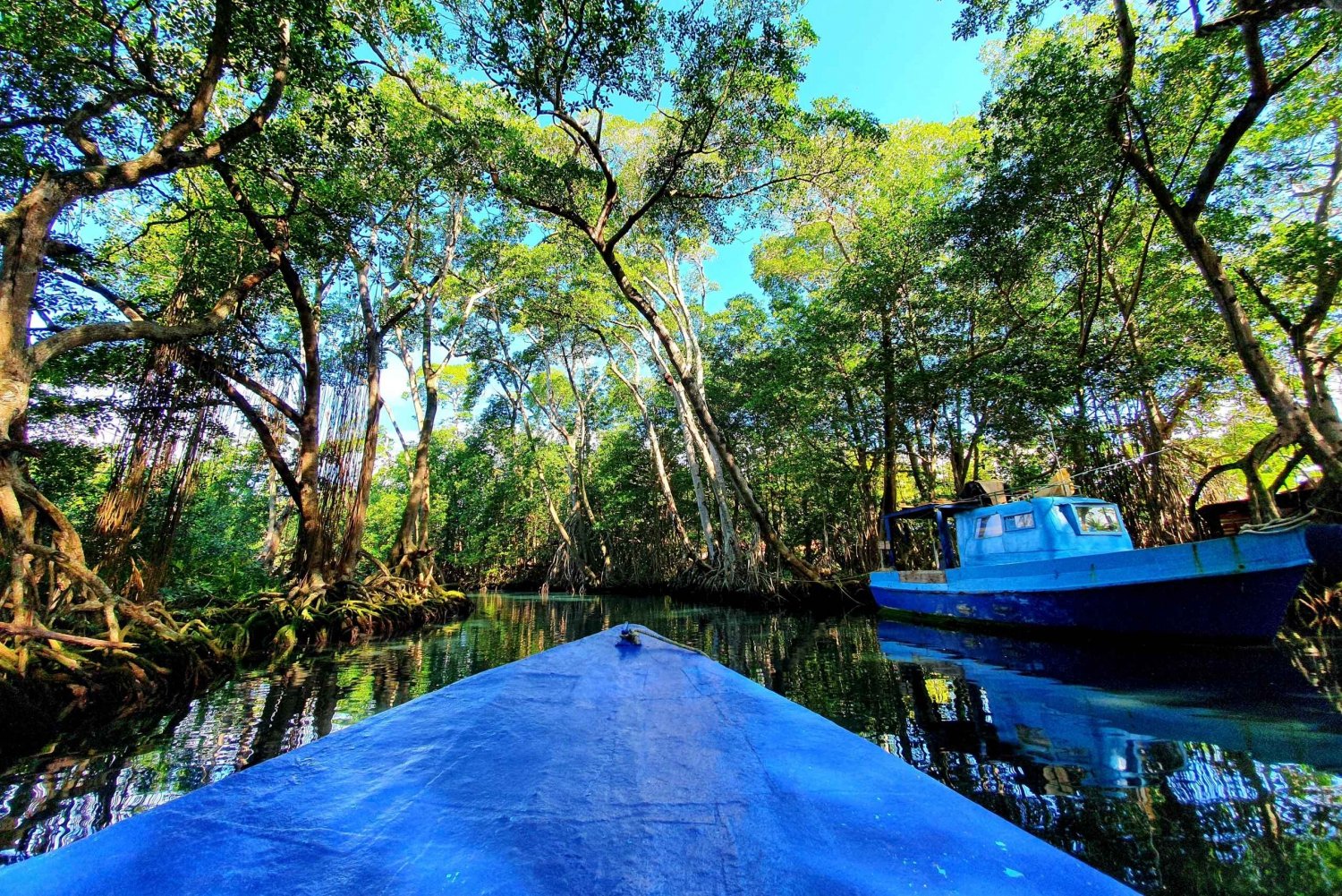 Private tour: Dudu cenotes + Playa Grande Beach + much more