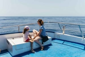 From Puerto Rico de Gran Canaria: Dolphin Watching Cruise