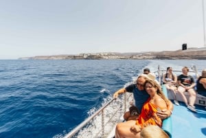 From Puerto Rico de Gran Canaria: Dolphin Watching Cruise