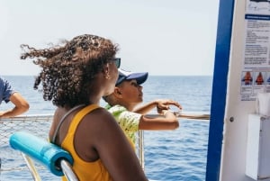 From Puerto Rico de Gran Canaria: Dolphin Watching Cruise