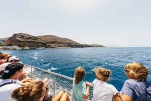 From Puerto Rico de Gran Canaria: Dolphin Watching Cruise