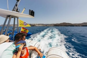 From Puerto Rico de Gran Canaria: Dolphin Watching Cruise