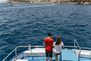 From Puerto Rico de Gran Canaria: Dolphin Watching Cruise