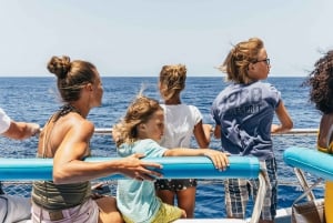 Desde Puerto Rico de Gran Canaria: Crucero de Observación de Delfines