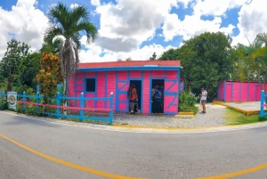 From Punta Cana: Full-Day Island Tour with Lunch