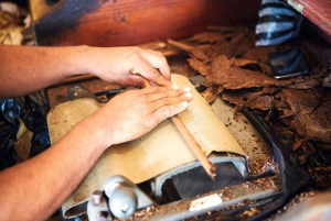 From Punta Cana: Full-Day Island Tour with Lunch