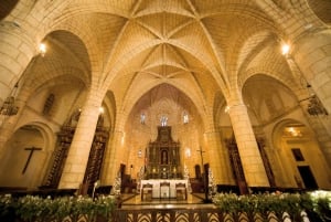 From Punta Cana: Full-Day Santo Domingo City Tour