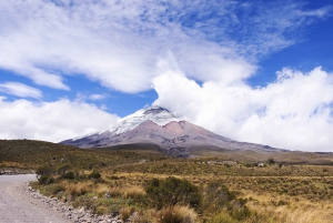 From Quito: Cotopaxi National Park and Quilotoa Lagoon Hike