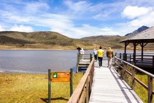 From Quito: Cotopaxi National Park and Quilotoa Lagoon Hike