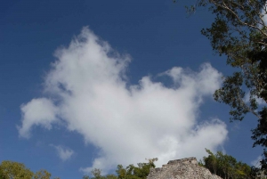 Desde Riviera Maya: Excursión de un día a Coba, Punta Laguna y Cenote
