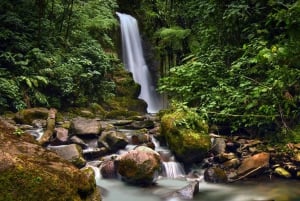 From San Jose: La Paz Waterfall Gardens Guided Day Tour