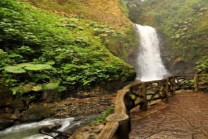 From San Jose: La Paz Waterfall Gardens Guided Day Tour