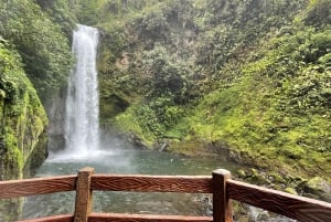 From San Jose: La Paz Waterfall Gardens Guided Day Tour