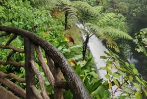 From San José: La Paz Waterfall Gardens Nature Park Tour