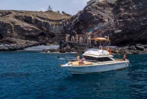 From San Juan beach : Marine Life Cruise