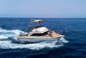 From San Juan beach : Marine Life Cruise