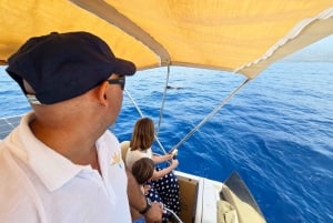 From San Juan beach : Marine Life Cruise