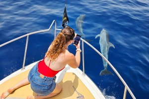 From San Juan beach : Marine Life Cruise