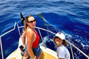 From San Juan beach : Marine Life Cruise