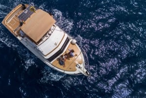 From San Juan beach : Marine Life Cruise