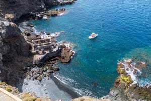 From San Juan beach : Marine Life Cruise