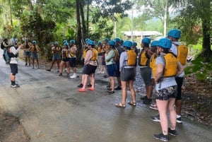 Desde San Juan: tour combinado de caminata por el bosque El Yunque y tirolesa