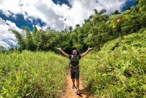 Desde San Juan: tour combinado de caminata por el bosque El Yunque y tirolesa