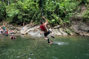 Desde San Juan: tour combinado de caminata por el bosque El Yunque y tirolesa