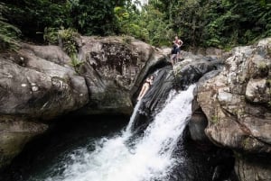 Desde San Juan: tour combinado de caminata por el bosque El Yunque y tirolesa