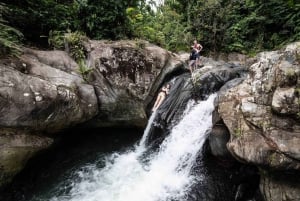 From San Juan: El Yunque Forest Hike & Ziplining Combo Tour