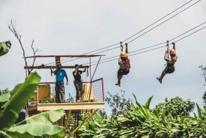 Desde San Juan: tour combinado de caminata por el bosque El Yunque y tirolesa