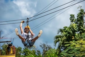 Desde San Juan: tour combinado de caminata por el bosque El Yunque y tirolesa