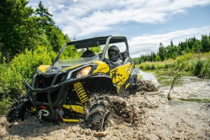 From San Juan: Puerto Rico Off-Road UTV 2-Hour Experience