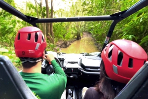 From San Juan: Puerto Rico Off-Road UTV Experience