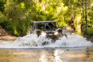 From San Juan: Puerto Rico Off-Road UTV Experience