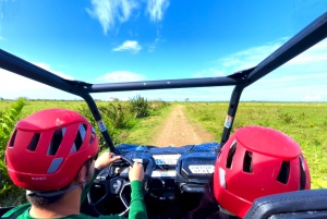 From San Juan: Puerto Rico Off-Road UTV 2-Hour Experience