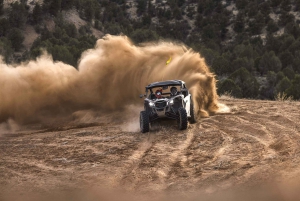 Desde San Juan: Puerto Rico Off-Road UTV Experience