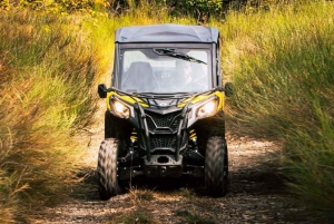 From San Juan: Puerto Rico Off-Road UTV 2-Hour Experience