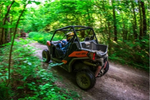 Desde San Juan: Puerto Rico Off-Road UTV Experience