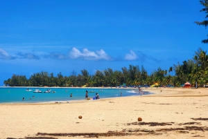 From San Juan: Rainforest River, Luquillo Beach, & Cave Tour