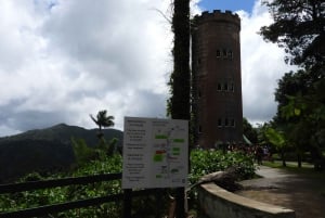From San Juan: Rainforest Walk, Nature Swim & Luquillo Beach