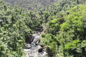 From San Juan: Rainforest Walk, Nature Swim & Luquillo Beach