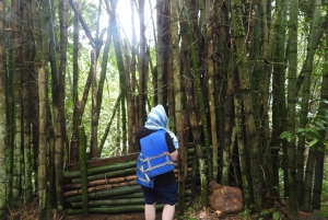 From San Juan: Rainforest Walk, Nature Swim & Luquillo Beach