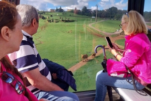 Desde Santander: excursión de medio día al Parque Natural de Cabárceno