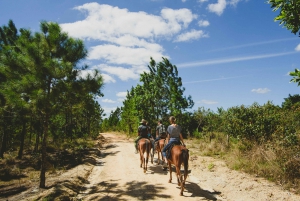 Best tours in and around Varadero, Cuba
